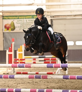 Nationaal Bestgaande Rijpony