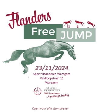 Flanders Free Jump