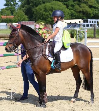 Wedstrijd Bestgaande Rijpony, Brabant   AFGELAST!!!!