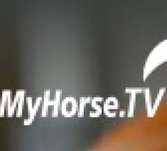 Suivez l?Expertise des Étalons BWP via ClipMyHorse