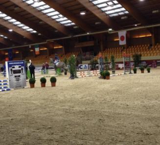 Hengstenkeuring: jury ziet hengsten eerste keer onder het zadel Hengstenkeuring: jury ziet hengsten eerste keer onder het zadel