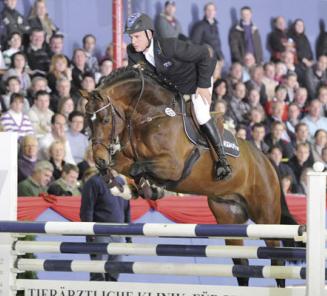 Elite Stallion in the spotlight: Cornet's Prinz (° 2005) | Belgian ...