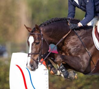 België start eerst in landenprijs