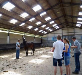 Leer dressuurpaarden beoordelen op de Corsendonk Dressage Cup