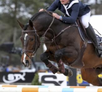 Darmani van ?t Heike wint GP Sancourt