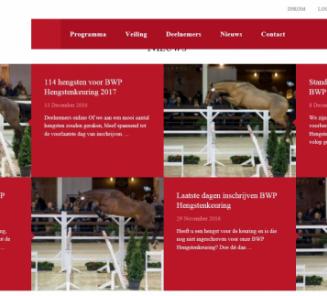 BWP Top Stallion Auction presenteert: 44 veilinghengsten!