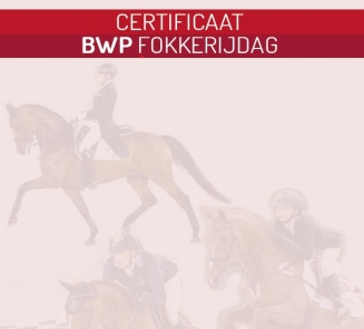 Certificaat Fokkerijdag