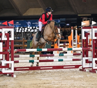 VONK BESTGAANDE RIJPONY