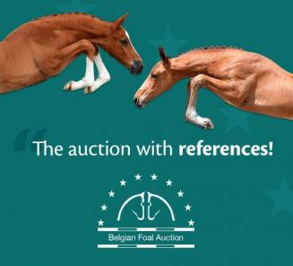 Save the date: BWP Online Foal Auction: du 28 sept au 1er oct