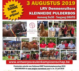 Komende zaterdag iedereen welkom in Pulderbos voor het 15e Antwerps Veulenkampioenschap