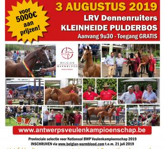 Komende zaterdag iedereen welkom in Pulderbos voor het 15e Antwerps Veulenkampioenschap Komende zaterdag iedereen welkom in Pulderbos voor het 15e Antwerps Veulenkampioenschap