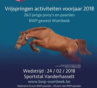 Vrijspringen activiteiten voorjaar 2018 Vrijspringen activiteiten voorjaar 2018