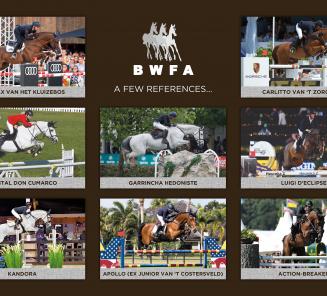 BWFA en BWP in Waregem: Topsport als doel