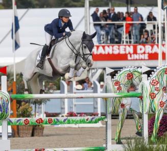 Recent BWP-goedgekeurde hengst Clicksem wint in Hardenberg Recent BWP-goedgekeurde hengst Clicksem wint in Hardenberg