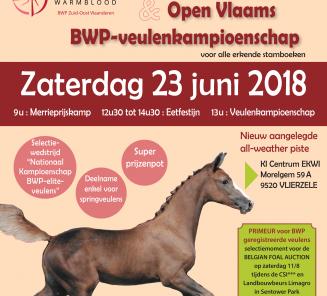 Laatste week inschrijven voor Open Vlaams BWP-veulenkampioenschap en gewestelijk merrieprijskamp Z-O-Vl.