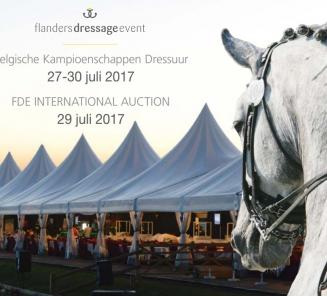 Realistische prijzen op de 4de FDE International Foal Auction