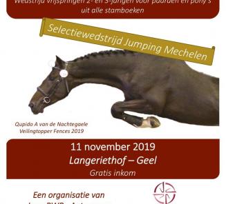 Inschrijvingen open voor Youngster Cup - Den 11ste - Vrijspringen voor 2 en 3 jarige paarden Inschrijvingen open voor Youngster Cup - Den 11ste - Vrijspringen voor 2 en 3 jarige paarden