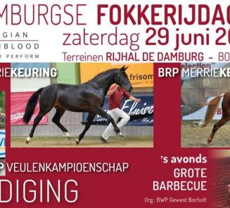 Inschrijvingen Limburgse BWP Fokkerijdag van start! Inschrijvingen Limburgse BWP Fokkerijdag van start!