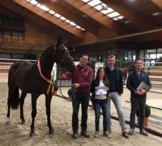 Hadewyn van 't Ravennest wint vrijspringen voor 2jarige merries in Moorsele