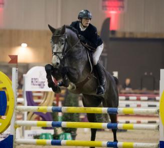 Finale van de Hengstencompetitie komt eraan