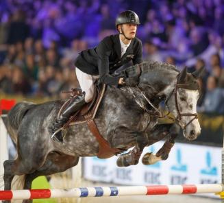 Hengstencompetitie: Leandro VG wint de 7-jarigen met Dirk Demeersman