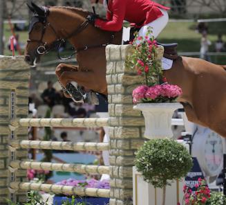 Falco van de Clehoeve wint in Sankt Gallen