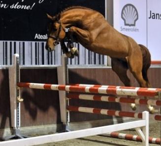 België wint landenwedstrijd Rotterdam dankzij Espoir en Igor