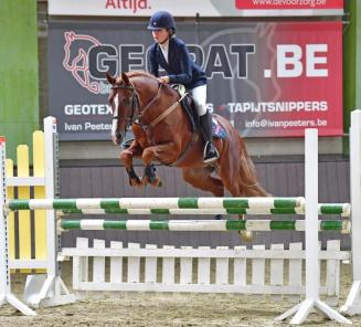 Nationaal Bestgaande BRp: de kampioenen nog eens op een rijtje