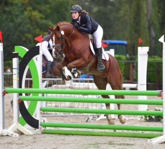 Laatste dagen inschrijven Nationale Wedstrijd Bestgaande Rijpony!