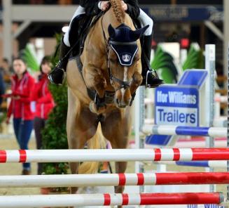 Uitslagen Finale Bestgaande Rijpony