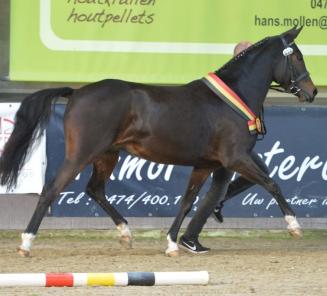 Startlijsten BRp-prijskamp en wedstrijd Maldegem online