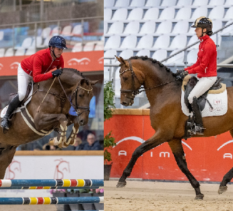 BWP Hengstenkeuring: inschrijvingen van start