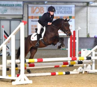 Ouverture inscriptions Poney de Selle Belge Brabant et Wallonie Ouverture inscriptions Poney de Selle Belge Brabant et Wallonie