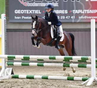 Nationale wedstrijd Bestgaande Rijpony op zaterdag 26 september