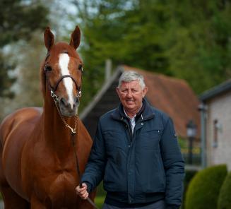 Echo de Laubry et Emerald van t Ruytershof brillent à Versailles