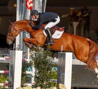 Emerald zoon Igor is vice-Belgisch kampioen