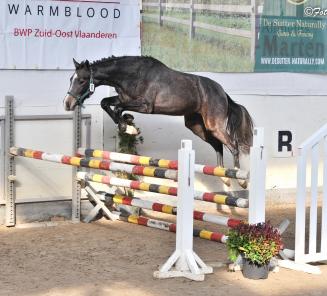 Data oefennamiddagen en finale vrijspringen BWP Z-O-Vl. gekend