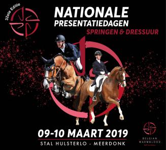 BWP Zuid-Oost-Vlaanderen gaat samenwerken met de Belgian Foal Auction en verhuist dit jaar naar een andere locatie!