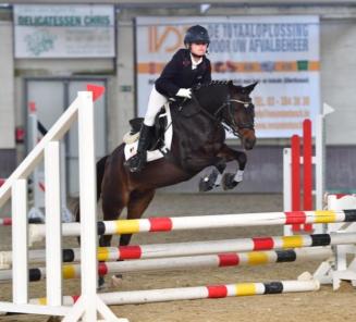 Inschrijvingen Bestgaande Rijpony & Prijskamp Oost- en West-Vlaanderen van start Inschrijvingen Bestgaande Rijpony & Prijskamp Oost- en West-Vlaanderen van start