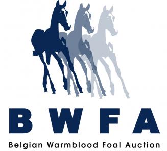 BWFA veiling 2017, topsport binnen handbereik