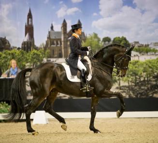 Dressuur: Jeannette Haazen & Dabanos winnen CDN Diepenbeek