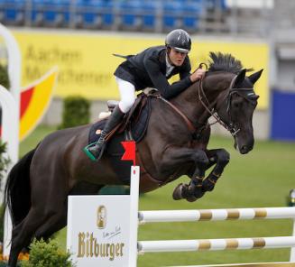 Itcho van t Ruytershof, uit de stam van Emerald en Diamanthina (foto), presteert in Roosendaal