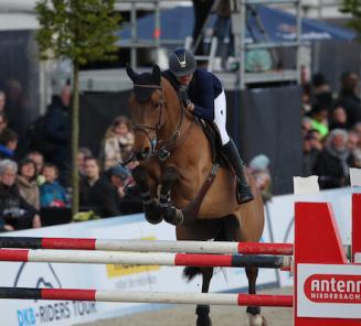 Dimaro vd Looise Heide wint GP Olomouc terwijl Latino vd Looise Heide in Sentower wint