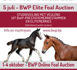 Datum al genoteerd? 5 juli BWP Elite Foal Auction!