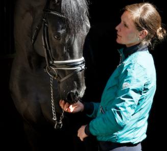 Fanny Verliefden wint CDI Saumur met Indoctro vd Steenblok