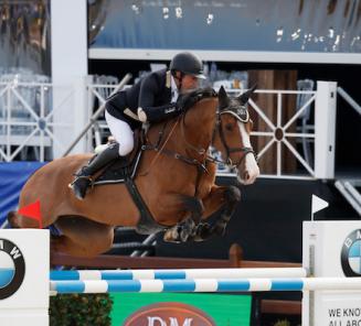 De gouden BWPers van Lummen: Jativia, Jacobien Dwerse Hagen (foto), D&J Havanna (alias Havanna van de Brouwershoeve) en Fou de Toi vd Keihoeve De gouden BWPers van Lummen: Jativia, Jacobien Dwerse Hagen (foto), D&J Havanna (alias Havanna van de Brouwershoeve) en Fou de Toi vd Keihoeve