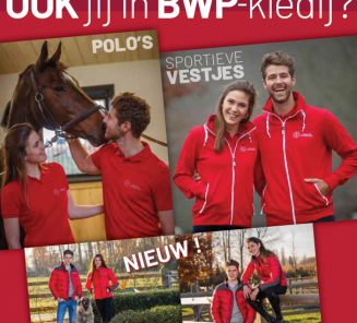 Cadeautip? BWP-trui, polo, jas,…