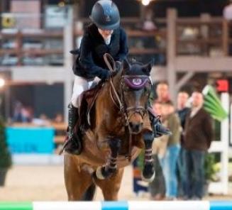 Startlijsten Wedstrijd Bestgaande Rijpony Mechelen online Startlijsten Wedstrijd Bestgaande Rijpony Mechelen online