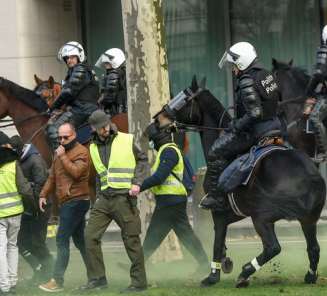 Federale Politie zoekt  paarden via centrale kijkdag!