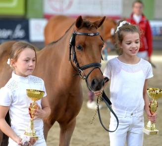 Fokkerijdag: de BRp-kampioenen op een rijtje Fokkerijdag: de BRp-kampioenen op een rijtje